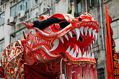 亲情会王芳高敏大团圆,老友重逢聚温馨，共度美好周末时光-5