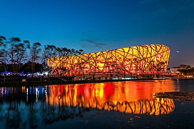 薰衣草研究所网站入口,薰衣草迷必备，新平台解密植物奥秘-2
