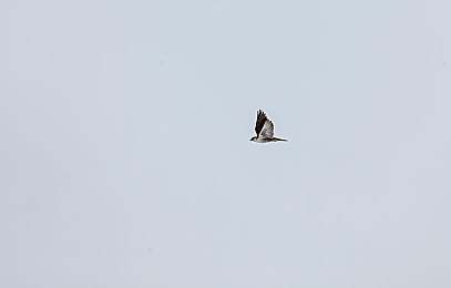 妈妈的男朋友5在完整有限中字,温馨家庭故事，诠释真挚爱情-3