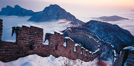 老师的兔兔,校园兔兔助力教学，爱心温暖成长时光-4