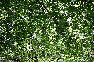 天天探索,科技突破，未来已来，探索无限-3