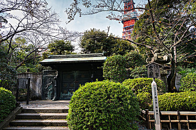 和猫娘拔萝卜游戏,农场萌宠互动，社交游戏新潮流