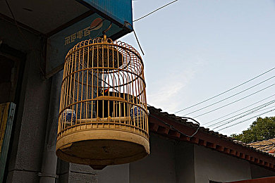 男生女生差,揭秘男女差异，构建和谐关系-4