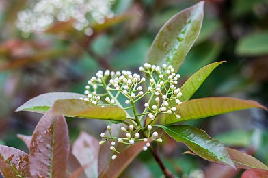 歪歪漫画  免费网站入口,漫画免费新篇章，海量作品等你来读-2