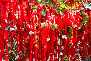 女生奖励素材库视频素材高清,短视频神器，女生素材库引关注-4