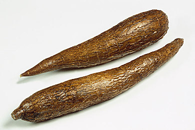 金刚杵汆肉莲的介绍,神秘法器灵感菜，美食界新宠亮相-2