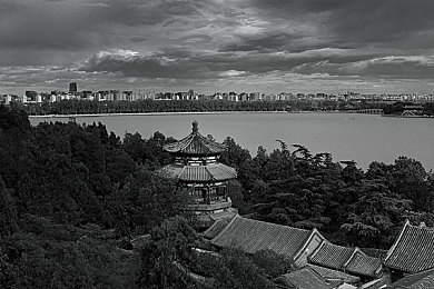 再把腿张开一点就可以吃扇贝：海鲜美味揭秘：扇贝开壳小技巧，轻松享佳肴-3