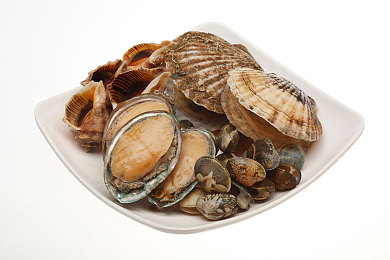 免费体育生手冲素材网站,体育生专属：免费学习平台助力成长-3