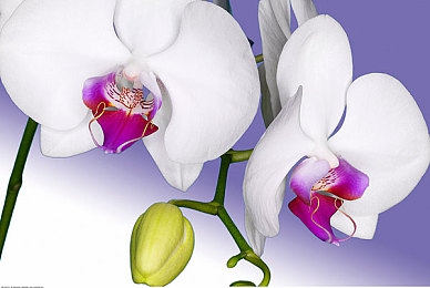 男女晚上做运动生宝宝好吗,晚练助孕？夫妻运动秘籍大揭秘-2