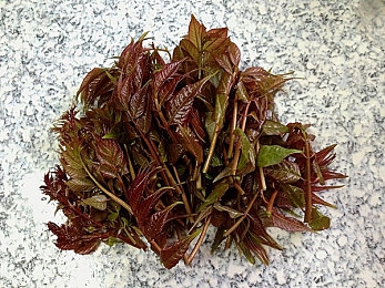 山寨新闻西葫芦,奇特的“山寨新闻”西葫芦，揭秘网络谣言危害-4
