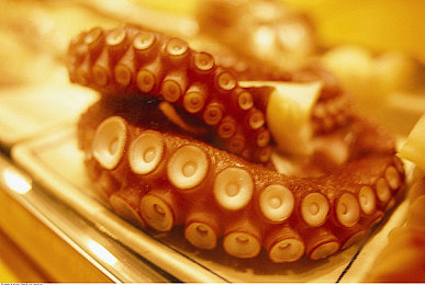 薰衣草研究所网站入口,薰衣草迷必备，新平台解密植物奥秘-3