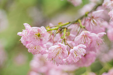 禁用18软件APP葫芦入口,网络清朗，禁用争议APP葫芦入口！-4