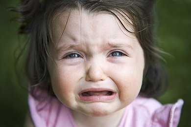 毕加猪经典语录：笑中带泪：毕加猪语录揭秘人生百态-3