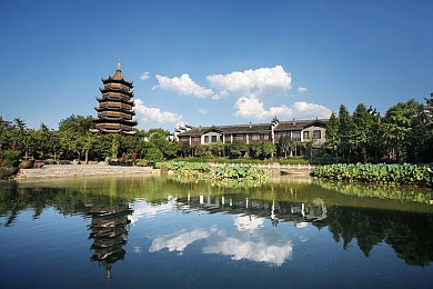 唐三中了千仞雪的美人计,《斗罗大陆》唐三深陷美人计，家族仇恨引危机-5
