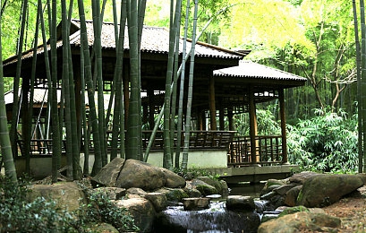 他的擎天柱巨龙仍不肯退出：风雨巨龙：骑手李明力夺冠军-4