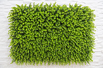 歪歪漫画  免费网站入口,漫画免费新篇章，海量作品等你来读-3