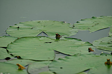 火辣辣app导航,应用导航新宠，火辣辣APP导航引领潮流-1