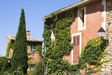 天堂草原电视剧在线观看图片高清,草原风情电视剧《天堂草原》热播，高清在线观看指南！-1