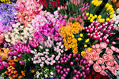 翁与小莹凌晨欢爱全篇:暮年爱情:跨越年龄的深情守候-3