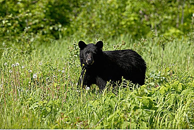 成片一卡2卡3卡4卡乱码,揭秘恶意软件:隐私泄露风险,如何防范?-4