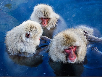 2019nv手机版天堂网,手机天堂网:海量资讯,畅享视听盛宴-2