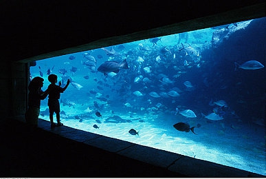 曰本里番老师工口acg,二次元文化新趋势：揭秘日本成人动漫的崛起与影响-3