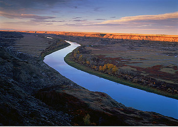 触手动漫,动漫新篇：奇幻之旅，触手再掀热潮-2