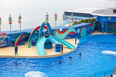 轮子妈出装,电竞攻略：揭秘《英雄联盟》轮子妈出装奥秘-1