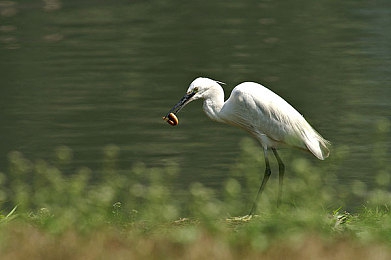 原神女角色去掉全部衣物,《原神》角色设计引争议，玩家审美观念大碰撞-4