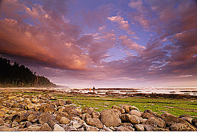 mm131王雨纯,歌手王雨纯新专辑来袭，音乐盛宴即将开启-5