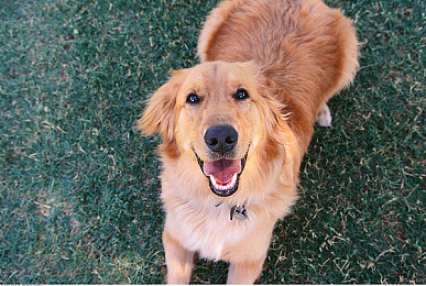 少女开女包www,少女时尚新宠，女包设计引发潮流狂潮-4