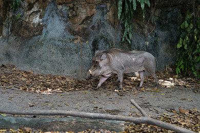 封神归真录,神秘古籍引奇遇,少年英雄闯封神-3