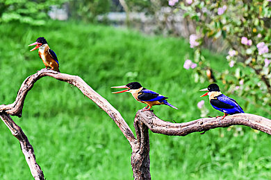 银饰喂奶孟瑶图片,银饰喂奶照：母爱如银，温暖瞬间触动人心-1