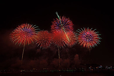 大桥未久退役流眼泪:都市地标退役,新桥见证辉煌-3