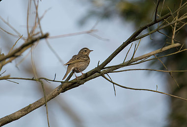 公厕NP粗暴H强男男：公厕暴力惊魂，社会呼吁加强安全-2