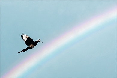 三根一起玩真的不会坏掉吗,科技生活新困惑:三屏时代,设备安全如何保障?-4