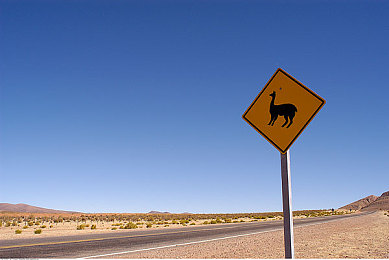 大香蕉手机在线视频,移动视频新宠，海量内容等你来享-5