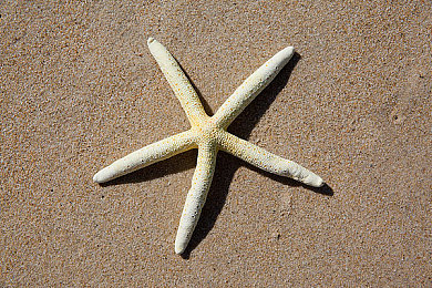 抖音app国产污,短视频乱象引关注，平台治理刻不容缓-4