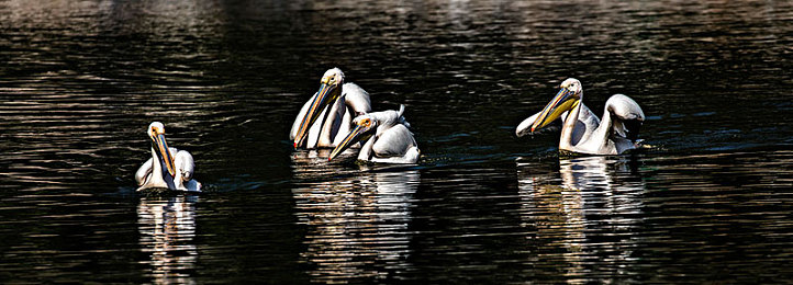 随时随地都能干的学校教师的作用,新时代教师:引领成长,随时随地助力学子-3