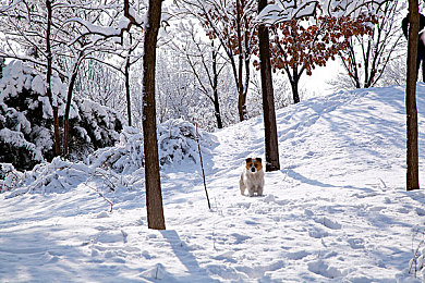 机甲兽神第一部,少年机甲战,正义崛起记-3