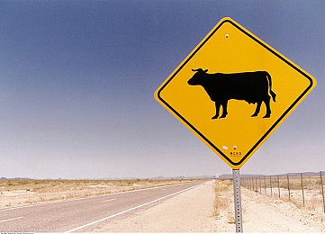 扒开小男生的屁股窑子开张了,复古新潮，年轻人聚集地开业-5