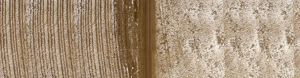 欲扉 BY葱花冰淇淋,夏日新宠，欲扉葱花冰淇淋走红市场-2