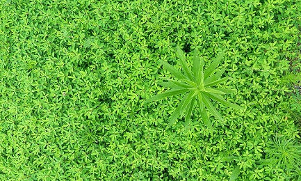 点金胜手停播,直播风云突变，热门节目停播引关注-4