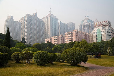 东京热软件,软件新秀崛起，东京热软件前景广阔引关注-2