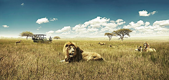 黑日撸兼职妹,周末兼职女性，职场新势力崛起-5