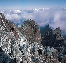 大桥未久退役流眼泪:都市地标退役,新桥见证辉煌-4