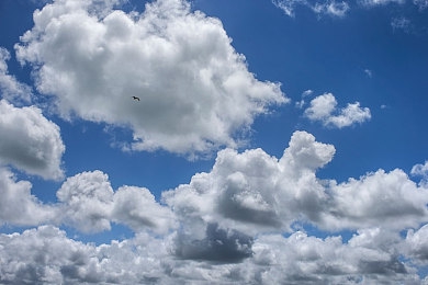 日本护士体内she精3XxX,日本护士体内精子异常,原因令人震惊!-3