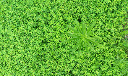 日本护士体内she精3XxX,日本护士体内精子异常,原因令人震惊!-4