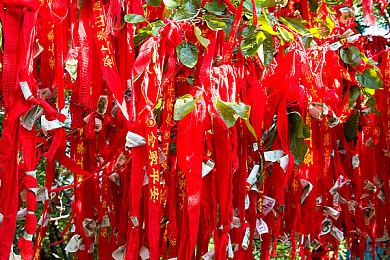 疫情母与子且听风吟鹿子言四,母爱如歌，抗疫母子共筑希望-5