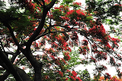 节流过程和绝热膨胀过程的异同点,热力学揭秘：节流与绝热膨胀大不同-3